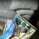 호기심 과학 이미지