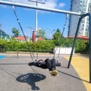 모전공원(놀이터) 이미지