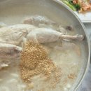 엄마네닭한마리 | 인천 구월동 맛집 | 육해공 생칼국수 본점_닭 한 마리가 통으로 들어간 칼국수 솔직 후기