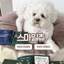 우리덴탈 | 강아지덴탈껌 추천 테일스마일 스마일츄 점프, 브라이트 후기