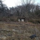 영강슈퍼 이미지