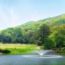 양지-3120 | 양지파인CC 골프장 정보