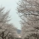CU 하동섬진강점 네이버블로그