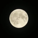 보름달