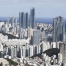 신흥부동산중개사무소 이미지