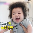 하루 이미지
