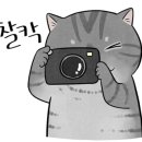 수빈네식당 이미지