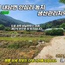 안심2리 티스토리