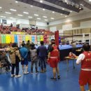 구미거북복싱 이미지