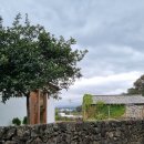 (유)청정개발 | 제주애월카페 명품디저트 테라도스 추천 후기!