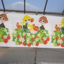 차랑농장 이미지