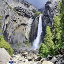 Yosemite National Park 이미지