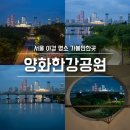 서울 야경 명소 양화한강공원 선유교 가는 방법 및 촬영 후기