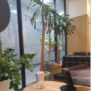 이턱바로치과의원 이미지