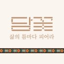 까페꽃향 이미지