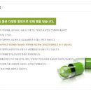 환경수맥기치료