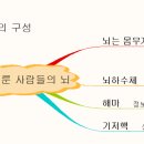 꿈을 이룬 사람들의 뇌(서화성) 이미지