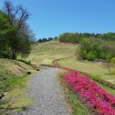 입점리고분전시관 이미지