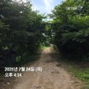 동원목욕탕 | [대야산용추계곡] 접배평자(IM) 다이빙까지 가능한 워터파크보다 재밌는 이곳! 여름휴가 왕강추