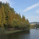 용소웰빙공원 이미지