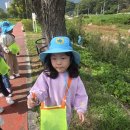 🌍 회야강을 살리는 작은 손길! EM 흙공 던지기와 가을 자연 탐색 산책 ✨ 이미지