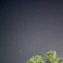 송당송당펜션앤리조트 | 제주 구좌읍 숙소 송당송당펜션앤리조트 숙박 후기 추천