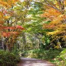 보림농장 이미지