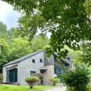 봉황자연휴양림 | [충주 여행] 봉황자연휴양림 - 낙엽송집 숙박 후기