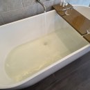 신 트레이드(SHIN TRADE) | [Day 381] 피지 3일차, 나디 시티 투어 / 스리 시바 서브라마니야 스와미 템플 / 나디 힌두교 사원...