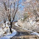 대룡산주유소 이미지