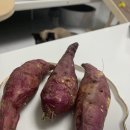 원데이클래스 강좌로 추석특강, 누구나 좋아하는 수제 오란다 | 애견수제간식창업을 위해 배운 펫푸드 자격증 취득 후기