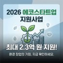 에코스타트