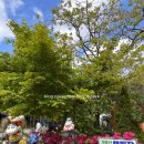 올챙이캠핑장 이미지