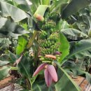 익산 농장 이미지