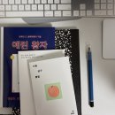 새터미널약국 | [대전] 대유잼도시 짧은 대전여행일기