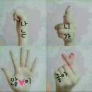 한국 국제행정사 이미지