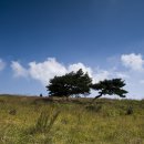 그린목장 이미지