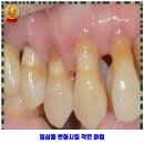 닥터손치과의원 이미지