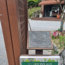 금대자동차야영장(치악산국립공원) 이미지