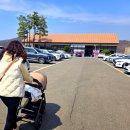 천안동남소방서 화장실 | 천안 동남구 한정식 맛집 <사월에보리밥> 직화고등어구이 정식 🐟