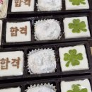 앞날창창 Daum카페