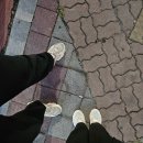 프레티 올라 네이버블로그