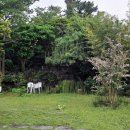 하우스 아움 이미지