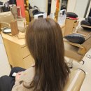 우장춘로 | 동래미용실 기장 추가 없이 염색 가능한 아이드블랑 온천점 후기