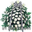 신*성 이미지