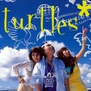 거북이PC 이미지