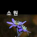 역류성 식도염 이미지