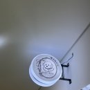 도그루아 이미지