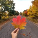 기분 좋은 아침입니다 이미지