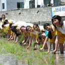 노전초등학교 앞 이미지